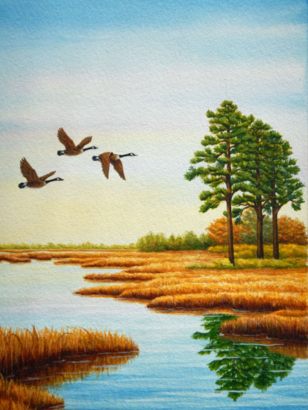 Canada Geese over marsh